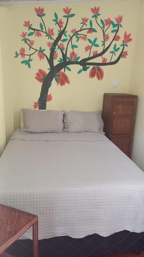 Hostel Sol Da Barra サルバドール エクステリア 写真