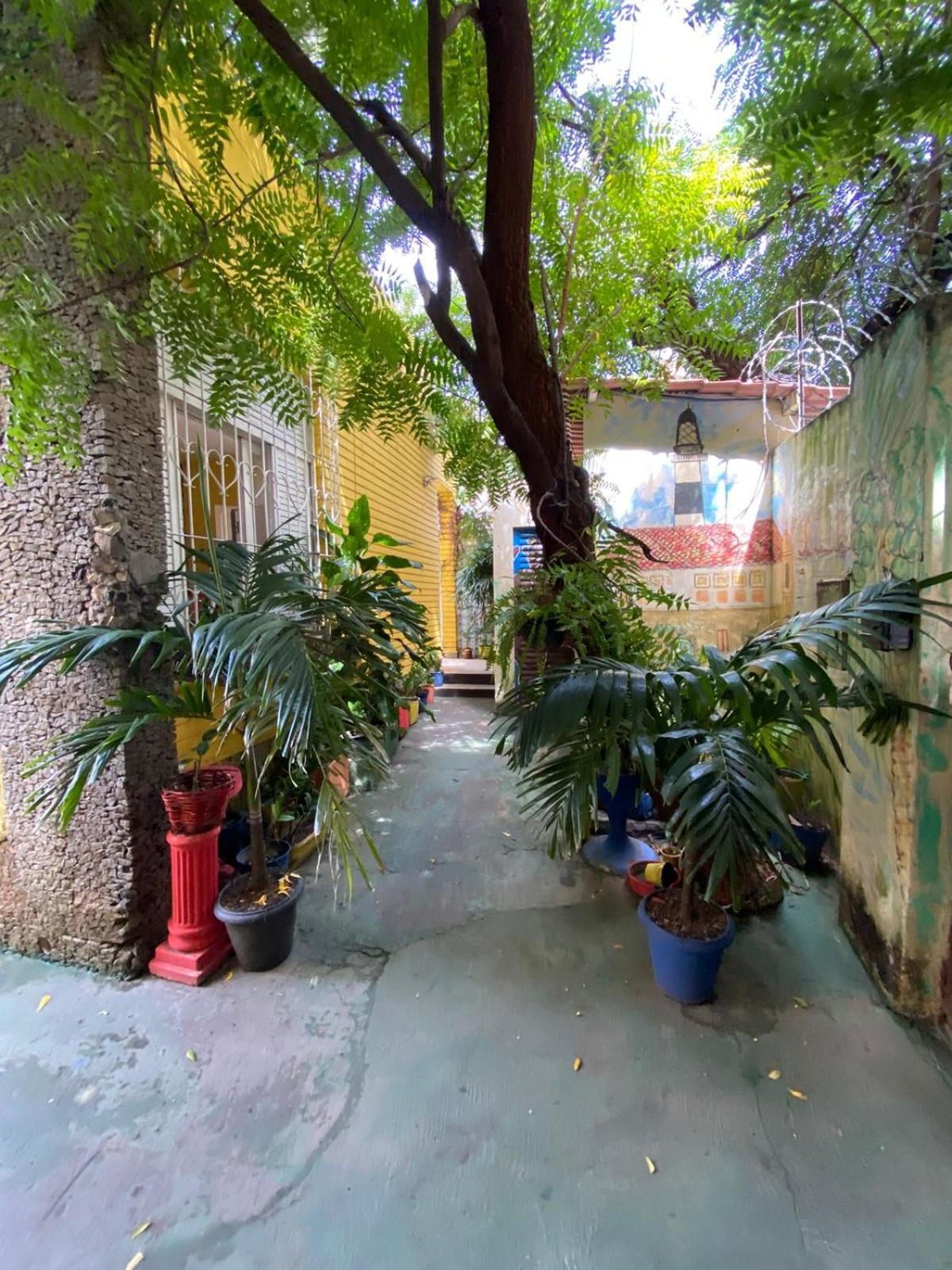 Hostel Sol Da Barra サルバドール エクステリア 写真